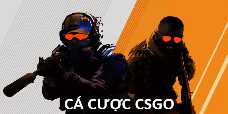 cá cượ csgo là gì