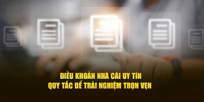 điều khoản dịch vụ 3kingAC
