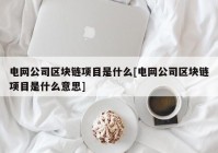 电网公司区块链项目是什么[电网公司区块链项目是什么意思]